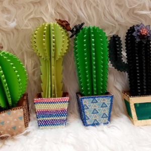 Cactus Set Unfinished DIY Kit