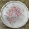Red Pink 3MM Flatback Resin Starlight Rhinestones - Image 2