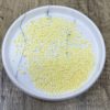 Jonquil 3MM Flatback Resin Jelly Rhinestones - Image 2
