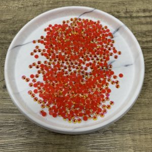 Camila –  4MM Flatback Resin Jelly Rhinestones