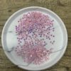 Mia -  4MM Flatback Resin Jelly Rhinestones - Image 2