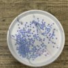 Riley -  4MM Flatback Resin Jelly Rhinestones - Image 2
