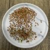 Daphne -  4MM Flatback Resin Transparent Rhinestones - Image 2