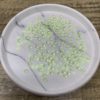 Citrine 5MM Flatback Resin Starlight Rhinestones - Image 2