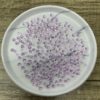 Violet 5MM Flatback Resin Starlight Rhinestones - Image 2