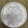 5MM Flat Back Two-Toned Pearls- Pink - Image 2