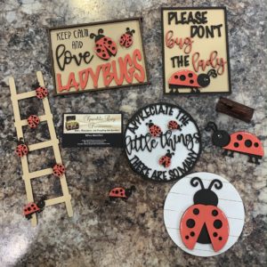 Ladybug Tray DIY Kit