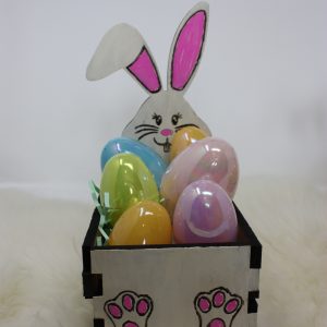 Easter Bunny Box Kit