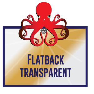 Flatback Transparent