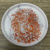 SS06 Flat Back Glass (Non Hot-fix) Rhinestones Hyacinth - Image 2