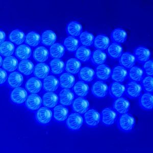 SS20 Flat Back Glass (Non Hot-fix) Rhinestones -Blue Glow